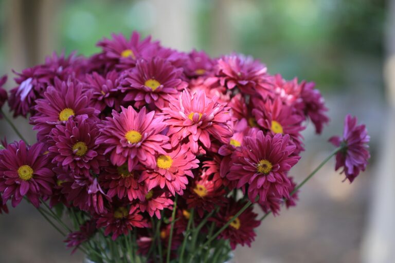 Flower Shop Deliveries